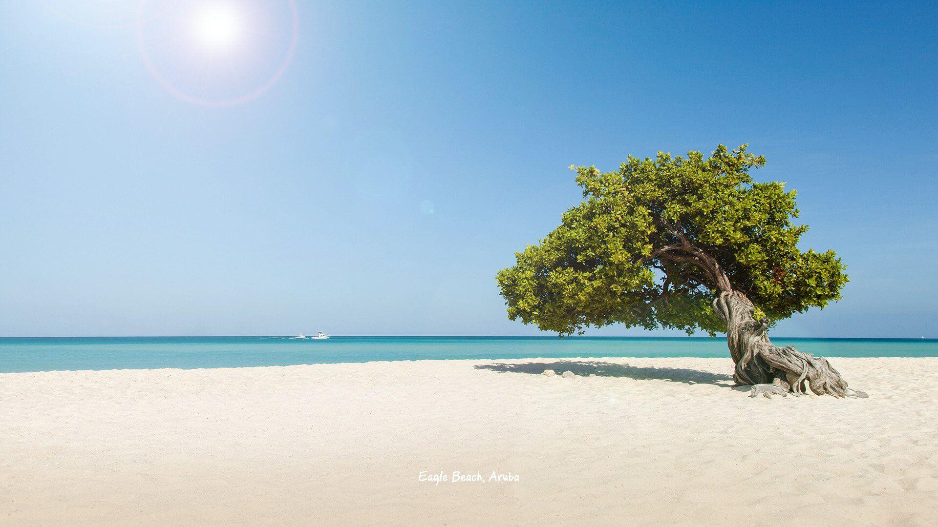 Beach In Aruba Desktop Wallpaper Hd Desktop Desktop B - vrogue.co