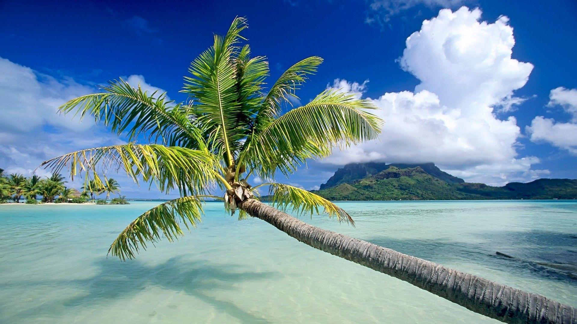 1920x1080 Beach wallpaper .com