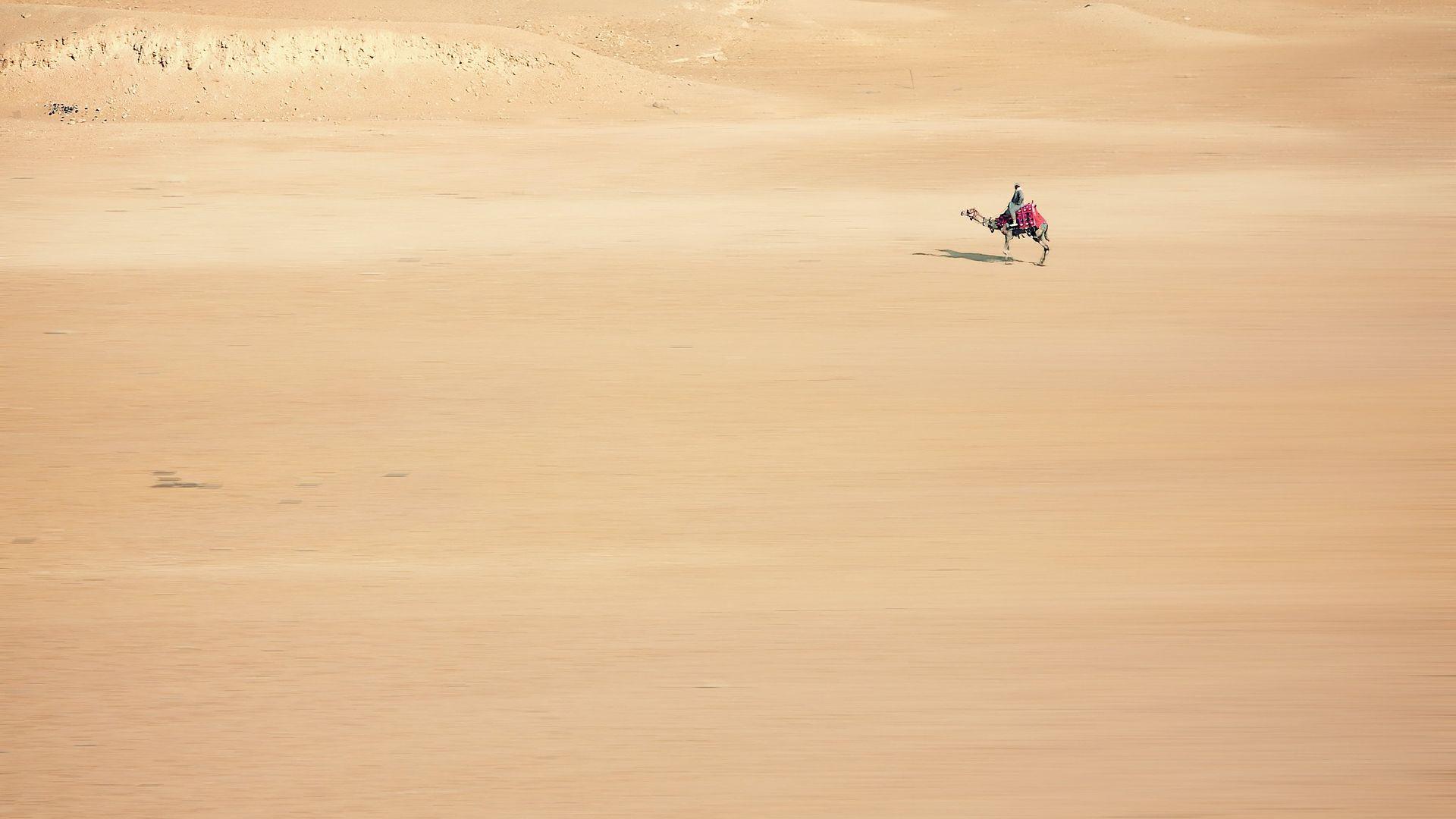 1920x1080 Cairo Egypt Desert Sand Camel Driver Wallpaper