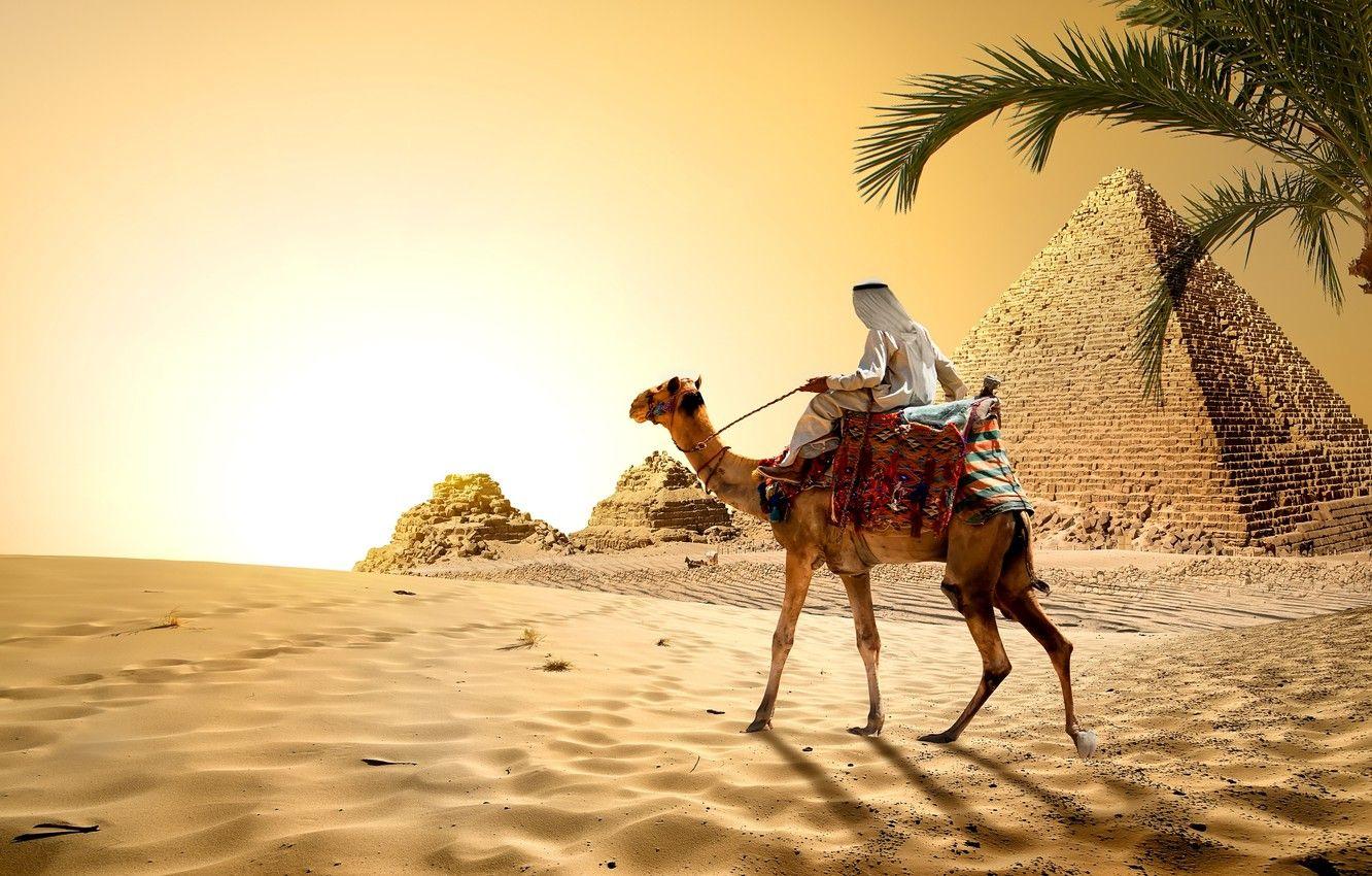 1332x850 Wallpaper sand, the sky, the sun, Palma, stones, desert, heat