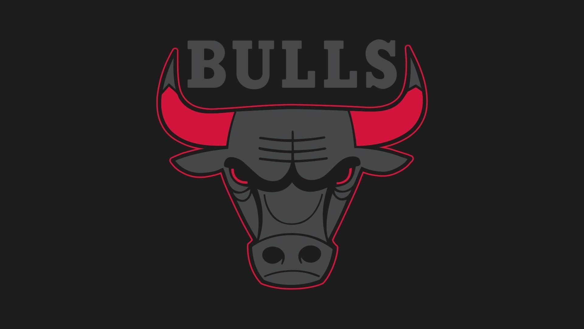1920x1080 Bulls Wallpaper