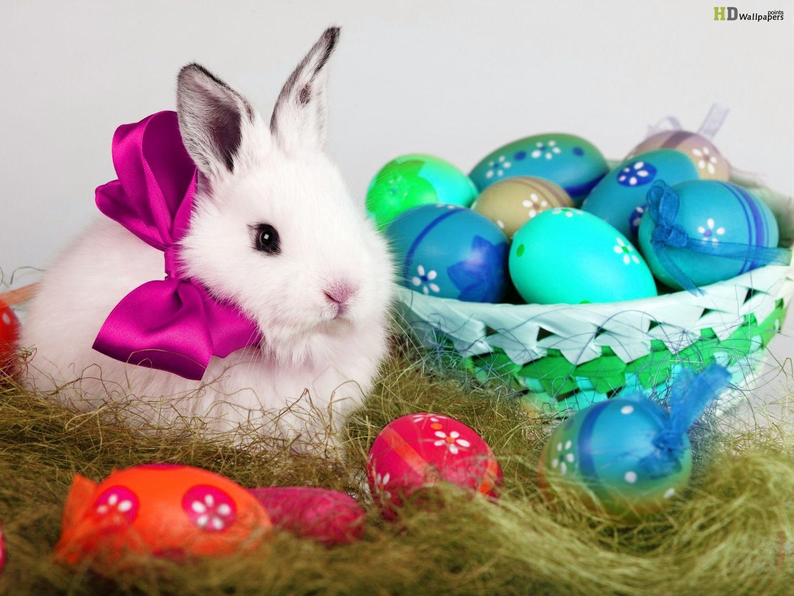 1600x1200 Easter Bunny Wallpaper Free
