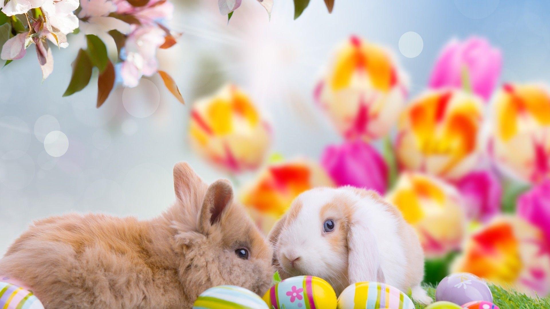 1920x1080 Cute Easter Wallpaper