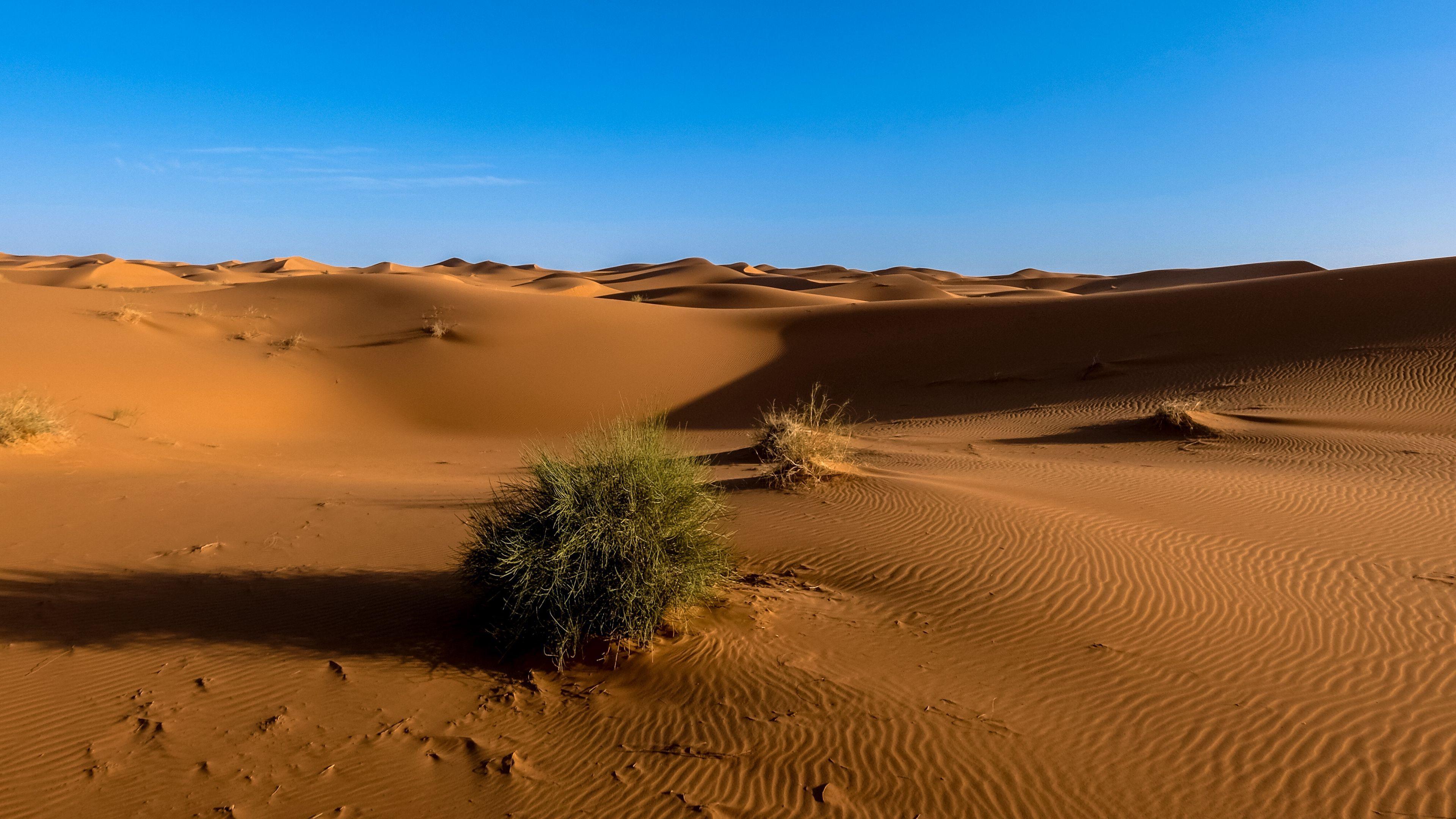 3840x2160 Download wallpaper 3840x2160 sahara, desert, sand, sky 4k uhd 16:9