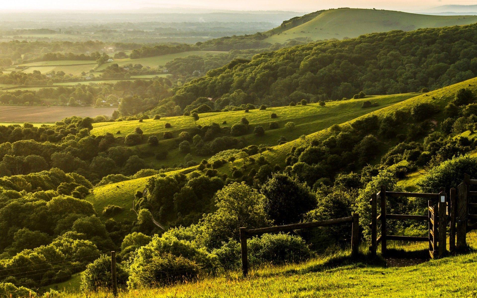 1920x1200 nature, Landscape, Trees, Forest, England, UK, Hill, West Sussex, Field, Grass, Fence, Green Wallpaper HD / Desktop and Mobile Background
