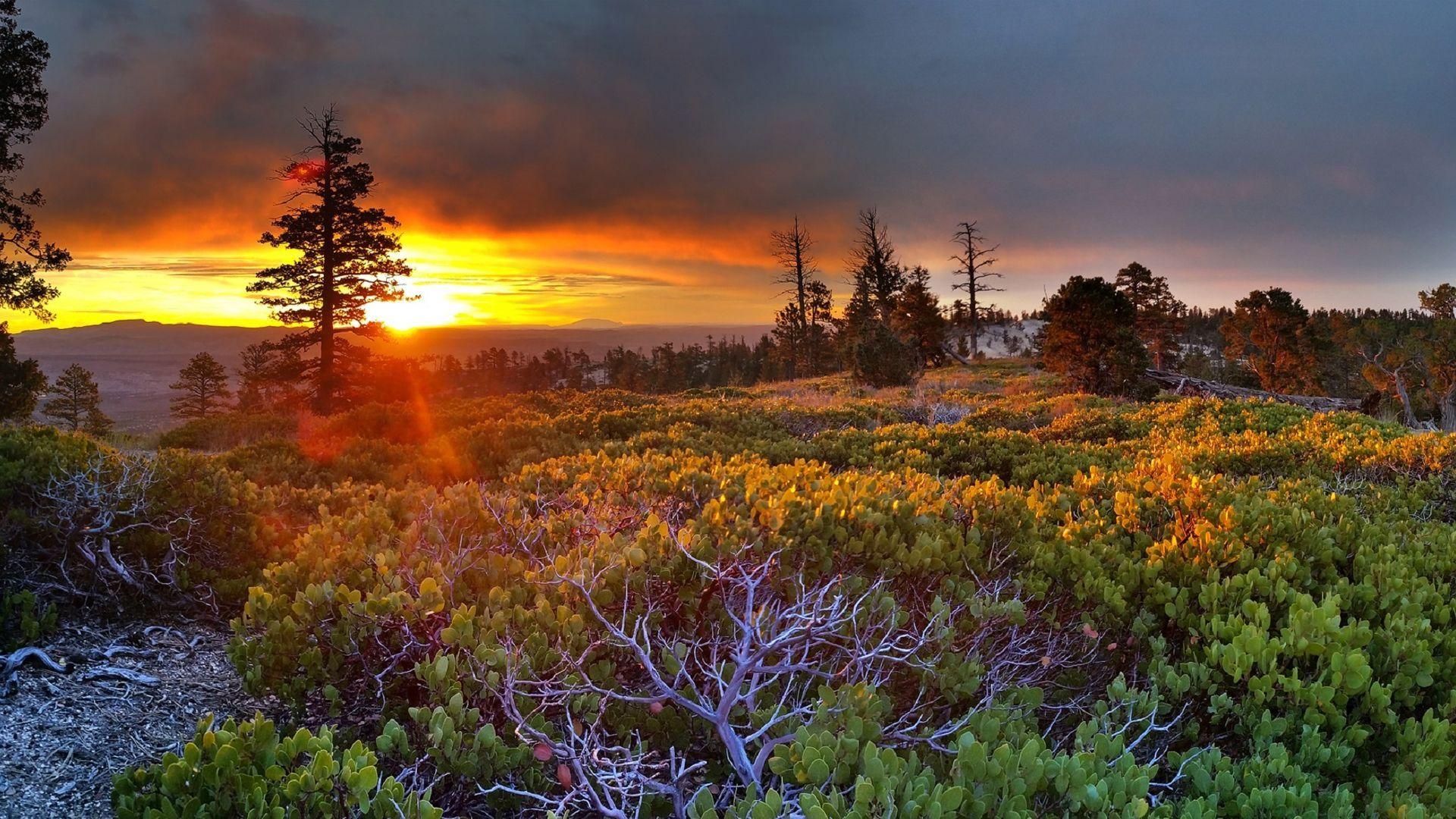 Summer Sunrise Wallpapers Top Free Summer Sunrise Backgrounds WallpaperAccess