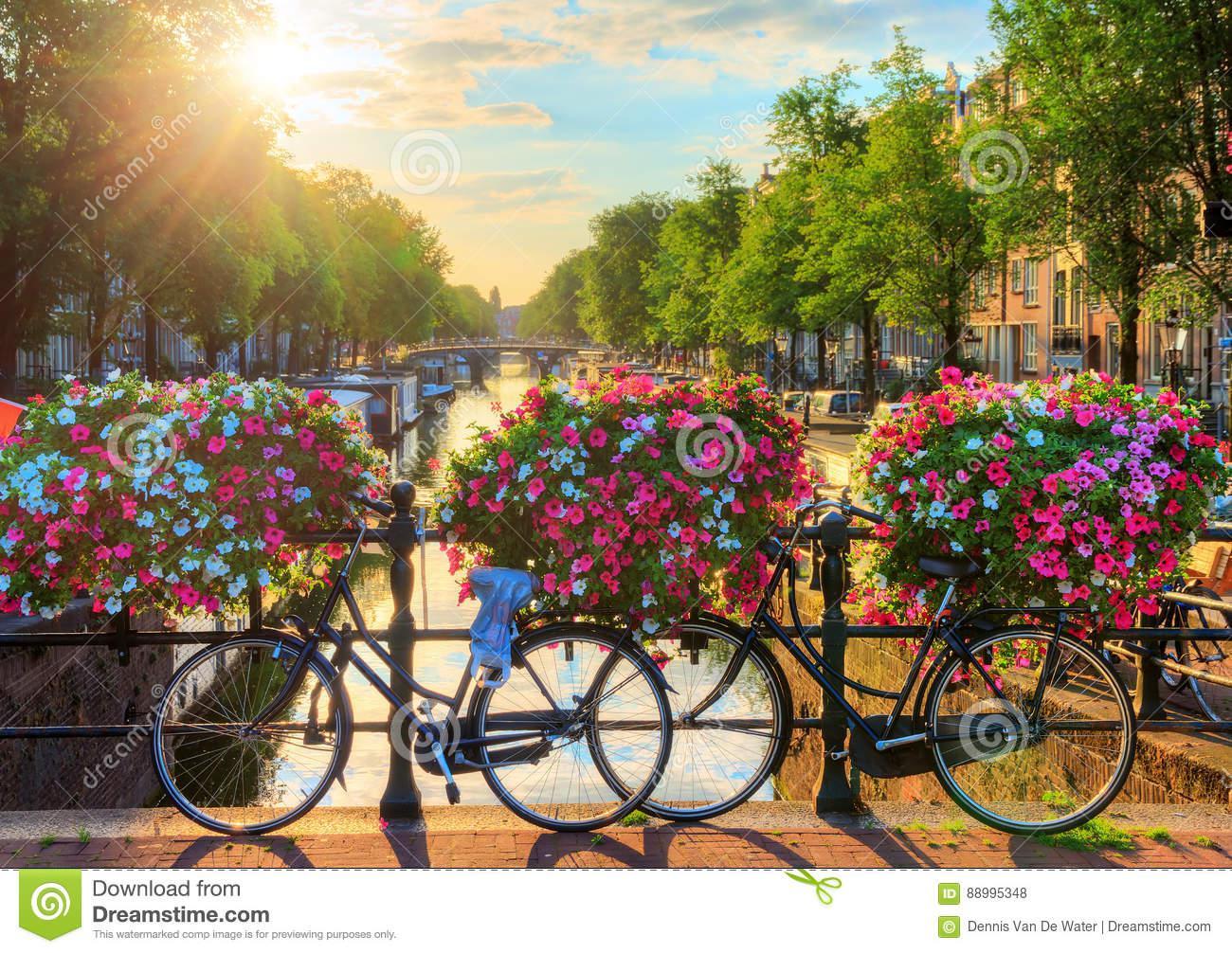1300x1006 Amsterdam summer sunrise II