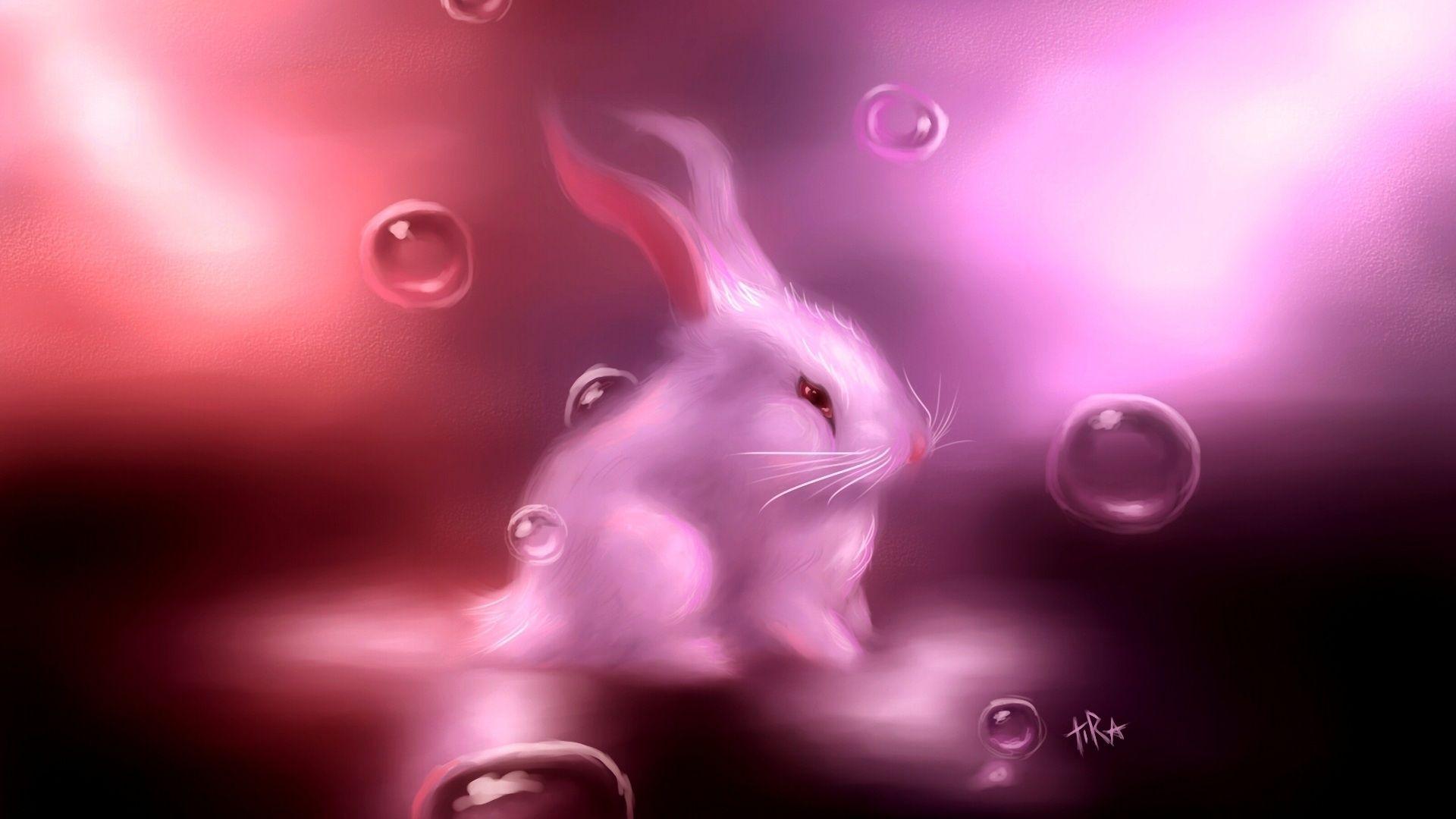 Purple Bunny Wallpapers - Top Free Purple Bunny Backgrounds