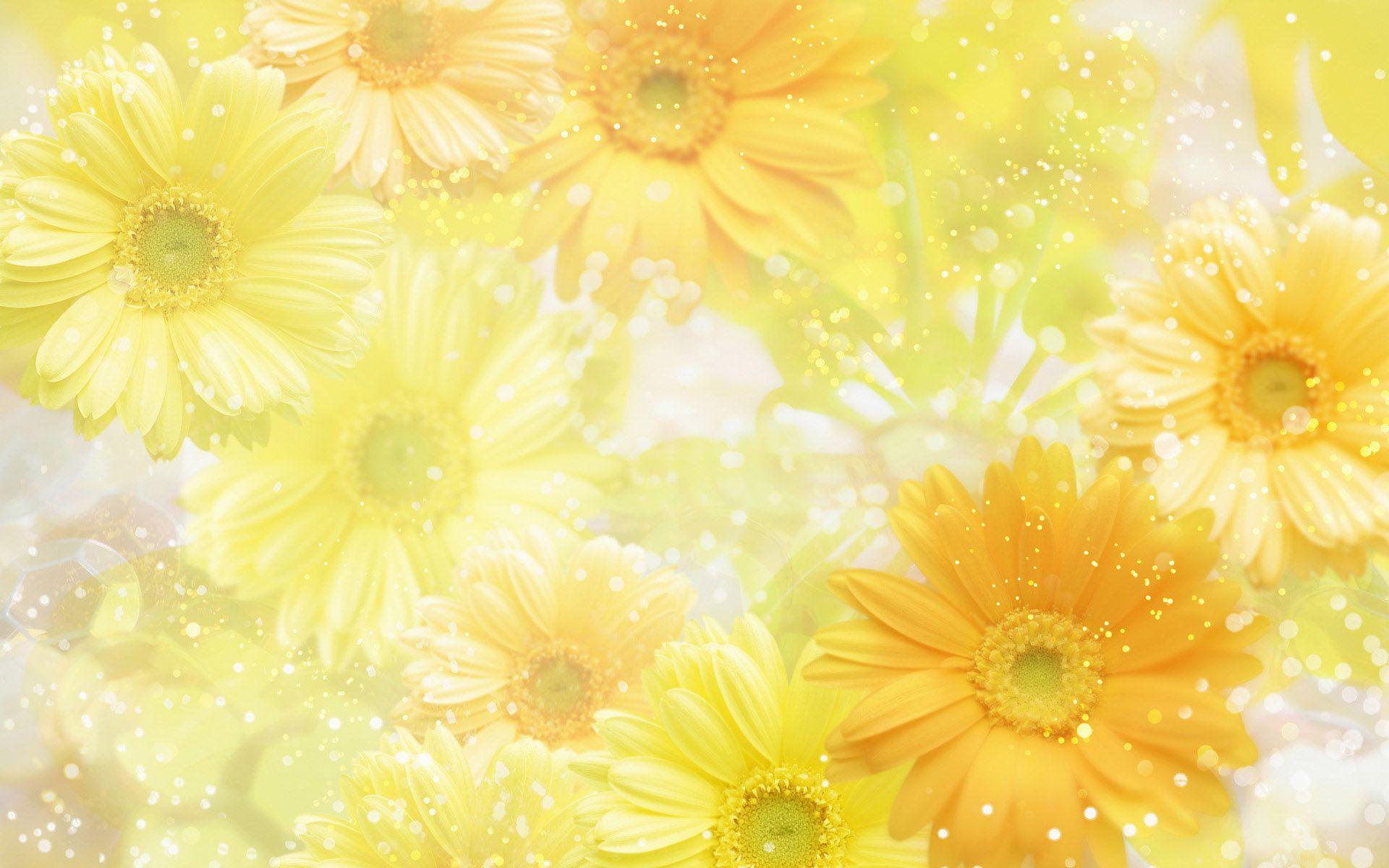 1920x1200 Background Of Flowers