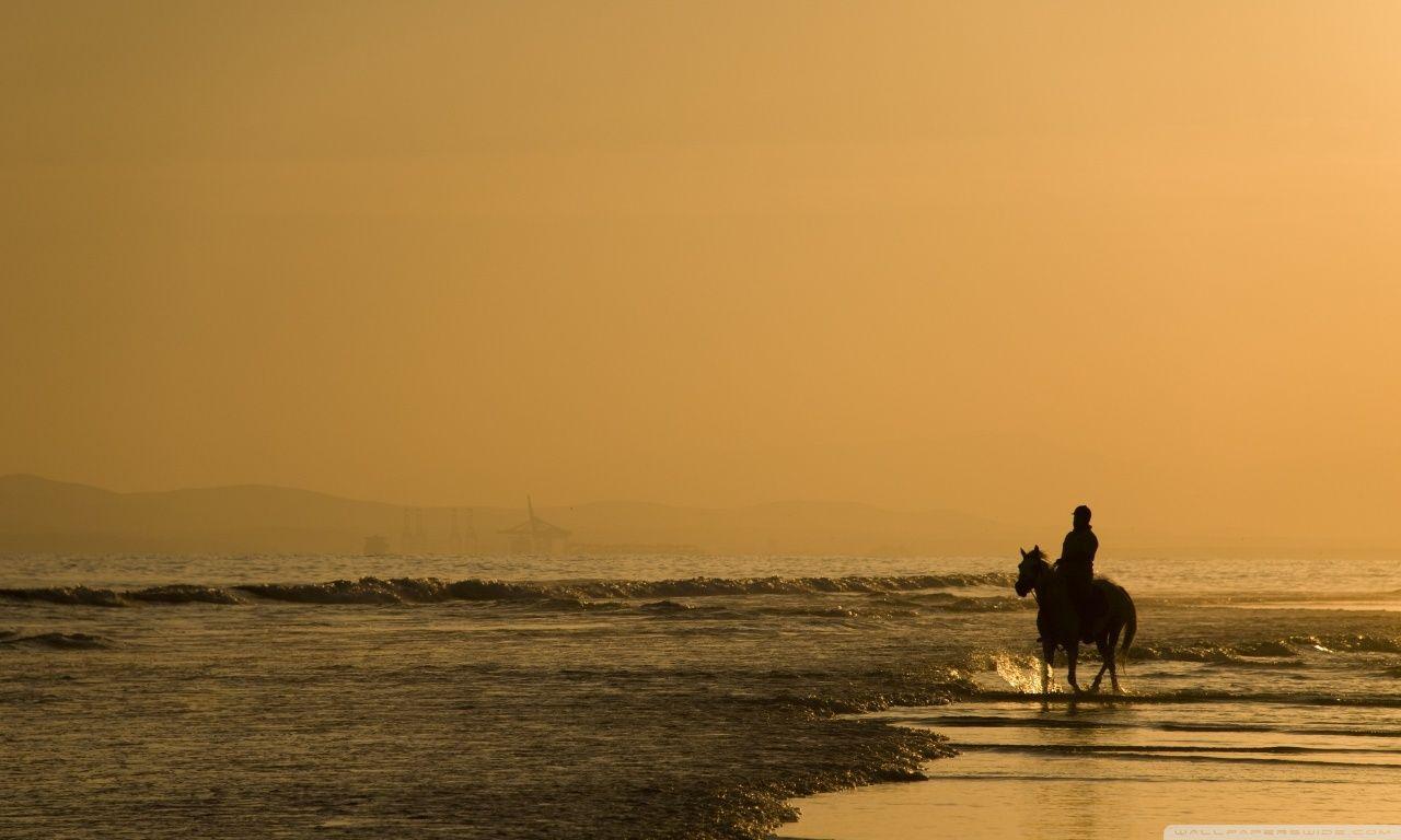 1280x768 Horse Riding On The Beach Ultra HD Desktop Background Wallpaper