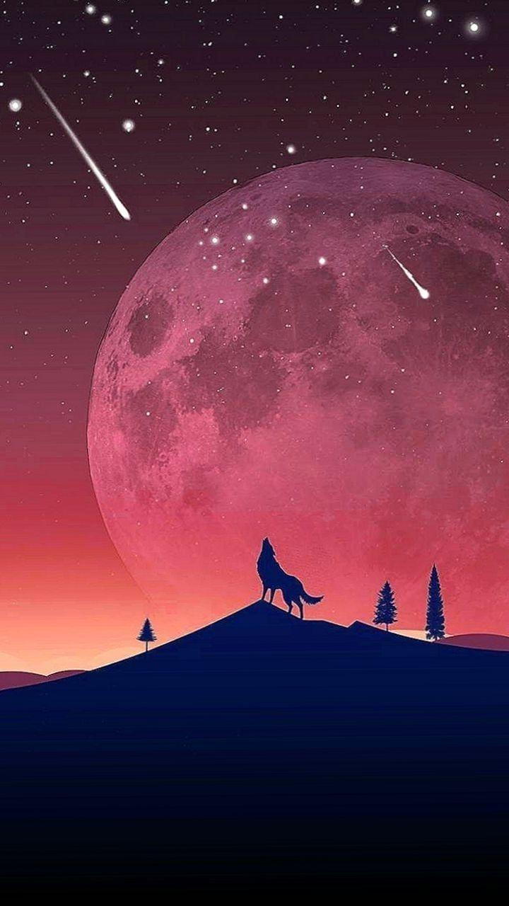 720x1280 Galaxy S8 Wolf Wallpaper Wallpaper.Pro
