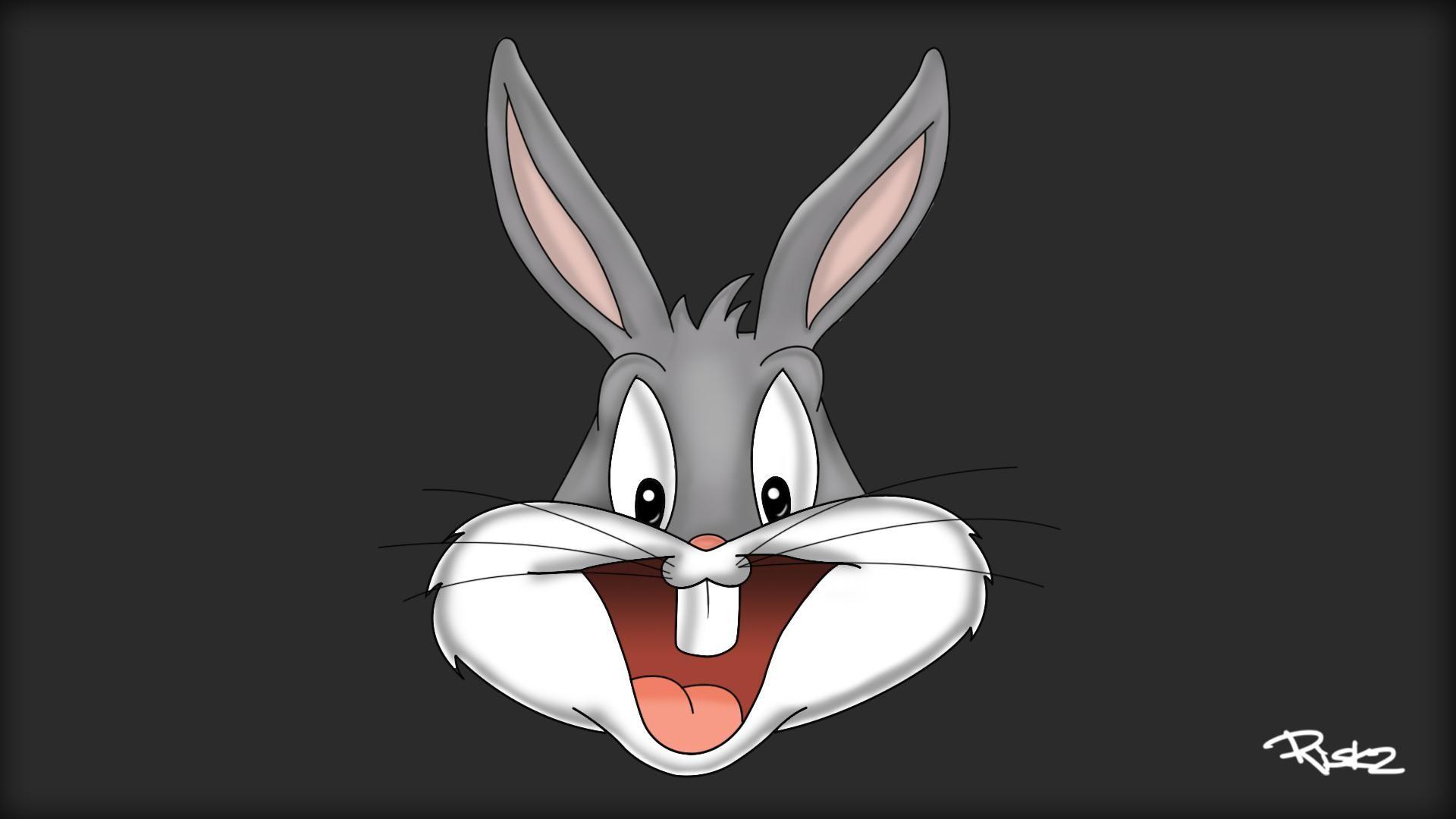 1920x1080 Bunny Wallpaper HD