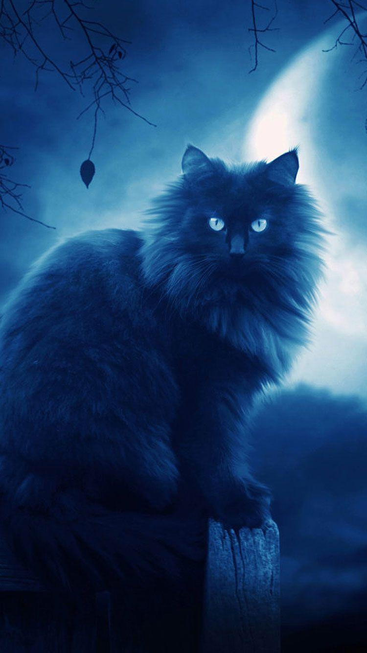 750x1334 Best Latest Cool iPhone 6 HD Wallpaper & Background of 2016