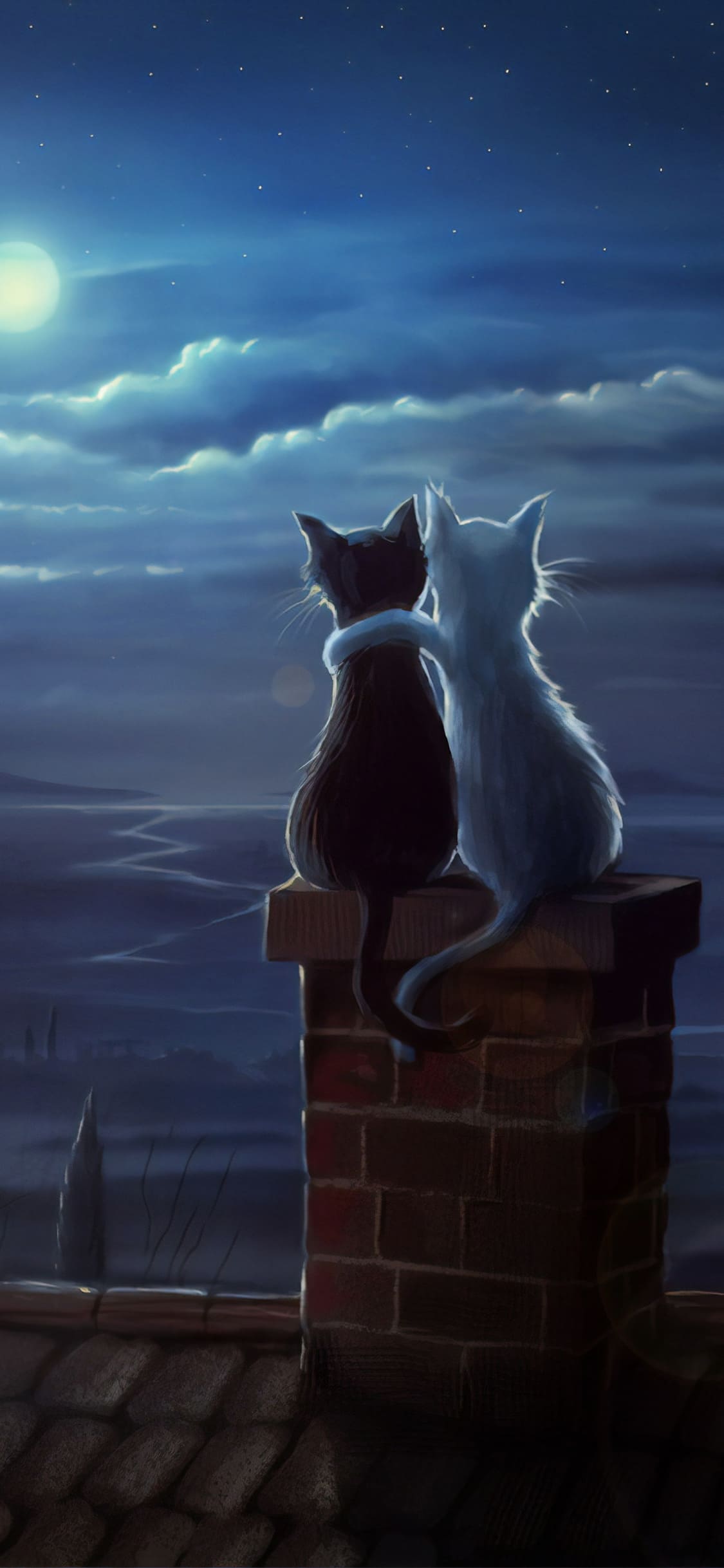 1125x2436 Cat iPhone Wallpaper: Free HD Background For iPhone
