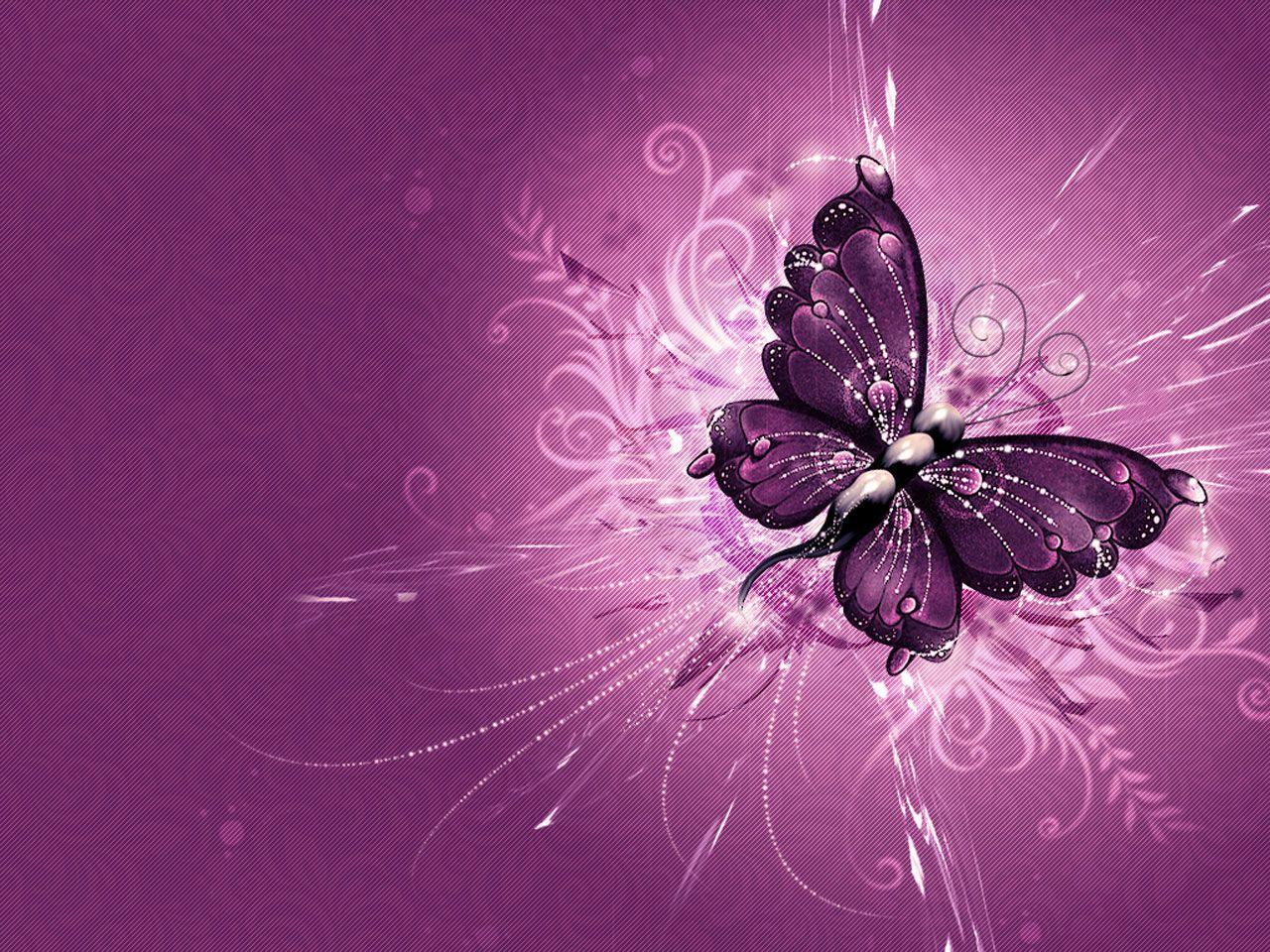 1280x960 Butterflies Background