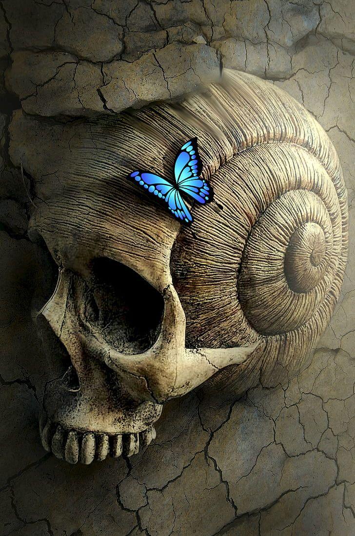 728x1099 Royalty Free Photo: Ulysses Butterfly On Human Seashell Skull