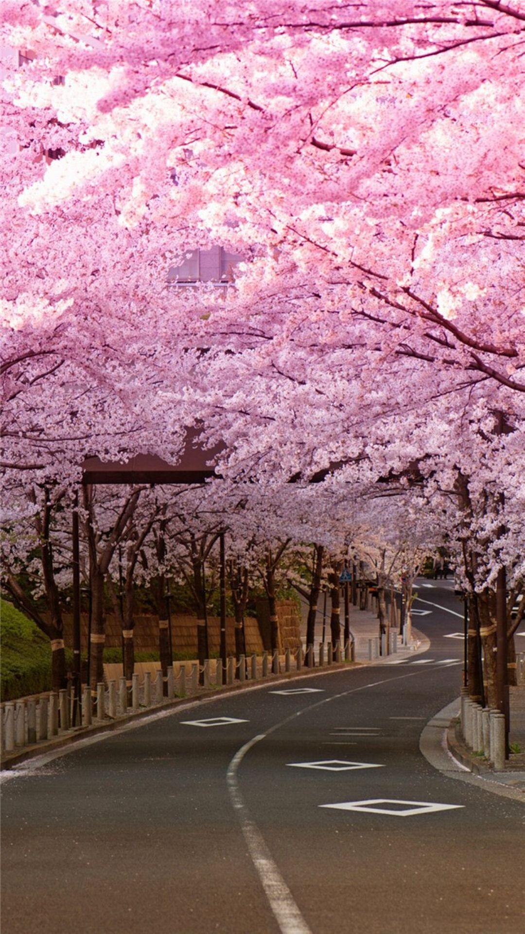 Japanese Castle Cherry Blossom Mountain Art 4K Wallpaper iPhone HD Phone  #7021k