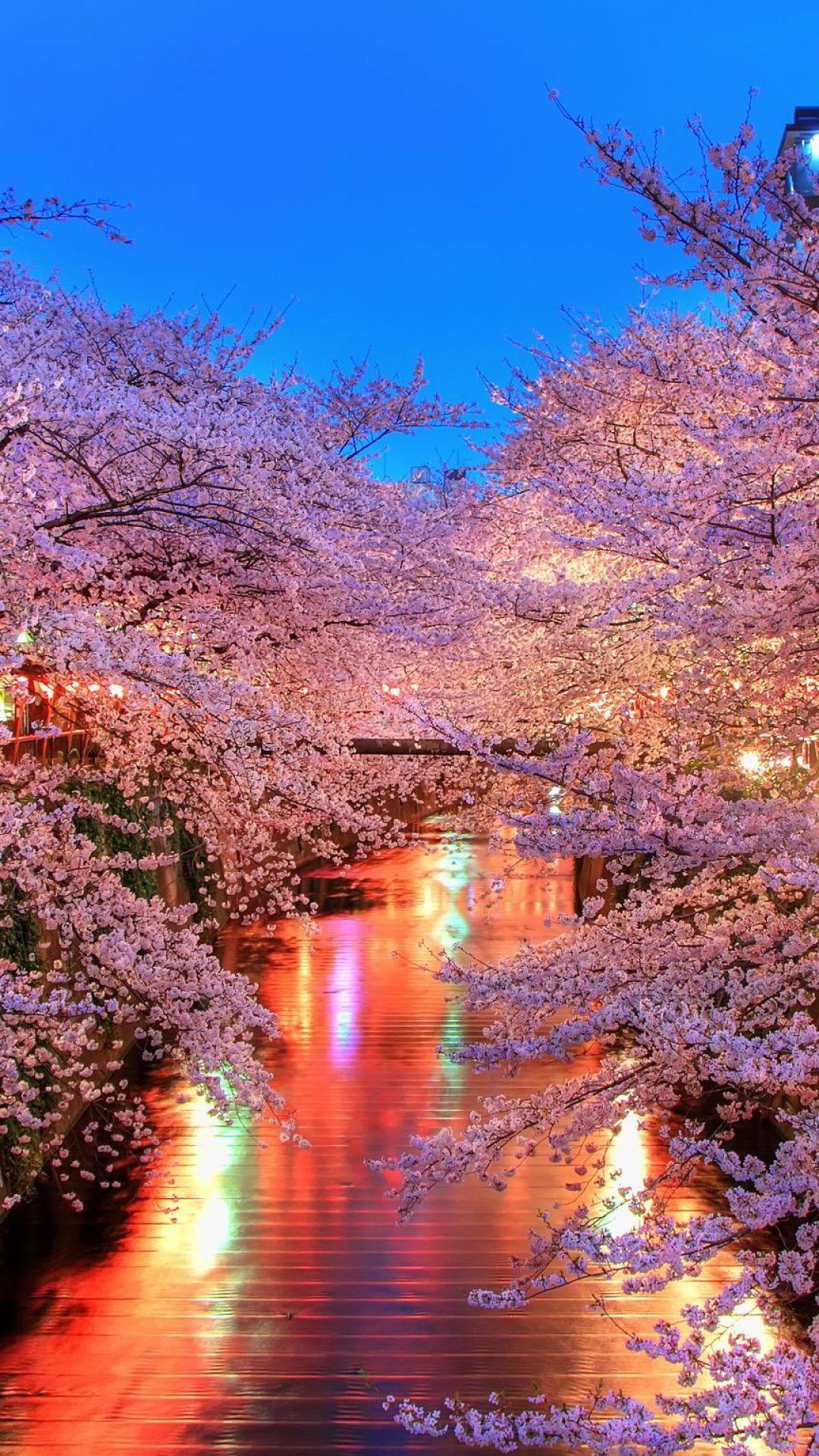 Japanese Castle Cherry Blossom Mountain Art 4K Wallpaper iPhone HD Phone  #7021k
