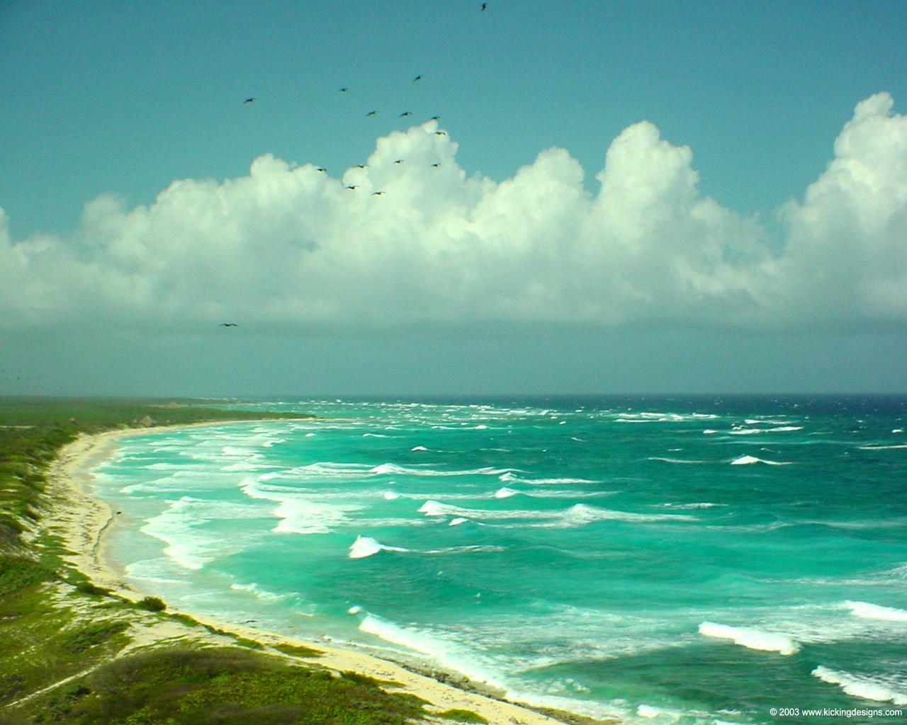 1280x1024 Cozumel Wallpaper. Cozumel Reefs
