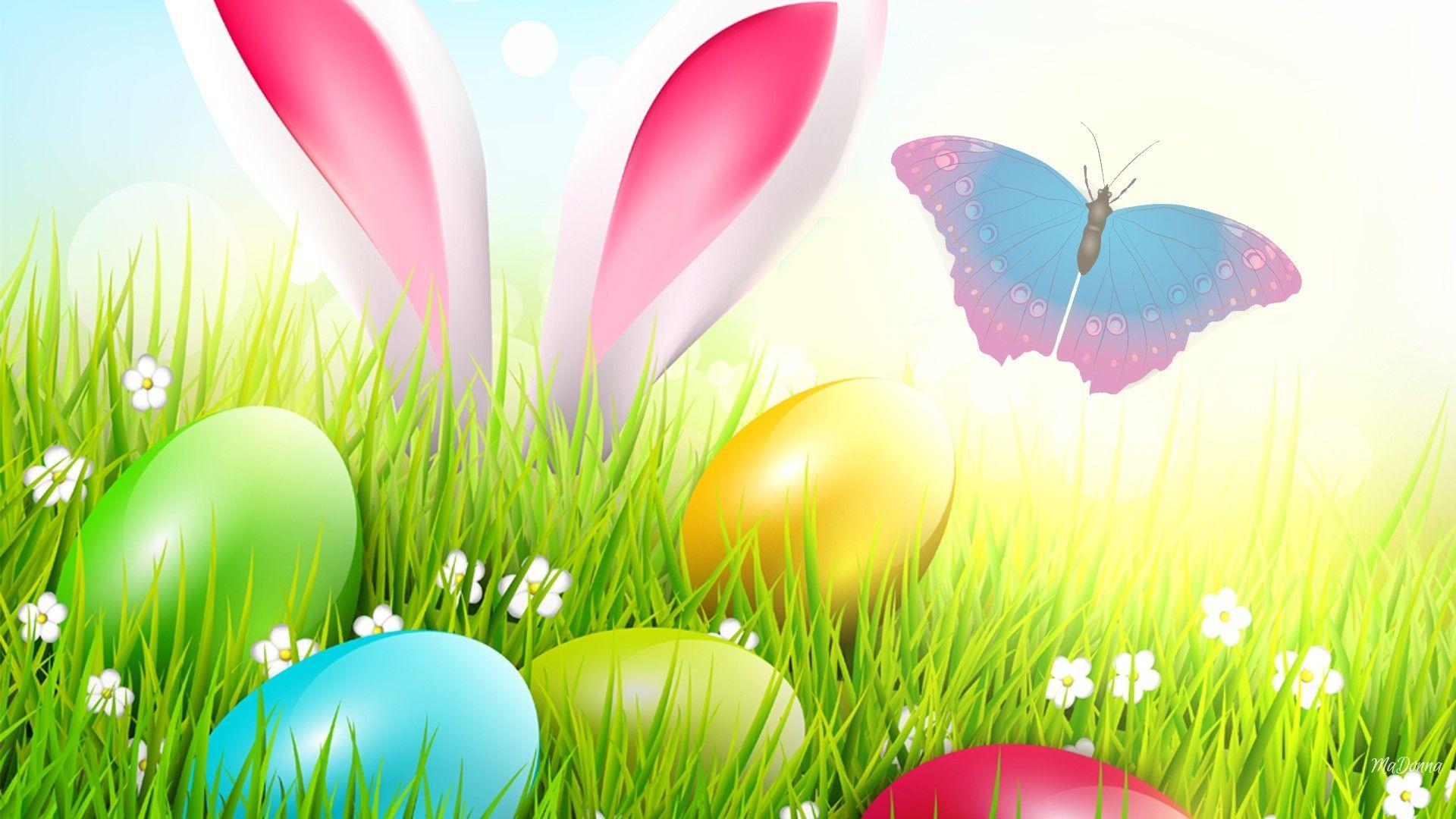 1920x1080 Rabbit Tag wallpaper: Mouse Rabbit Friends Butterfly Furry Spring