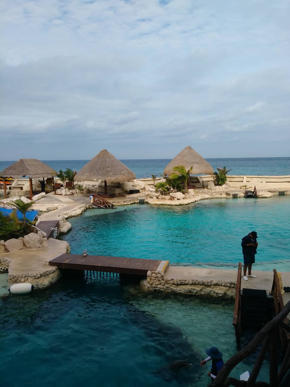 960x1280 Cozumel wallpaper