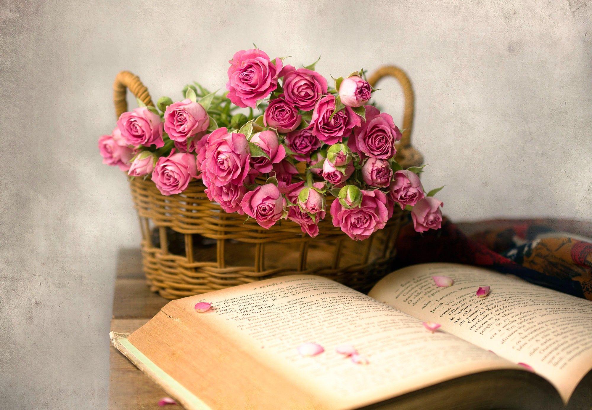 2000x1384 rose, Flowers, Books, Baskets, Pink flowers Wallpaper HD / Desktop and Mobile Background