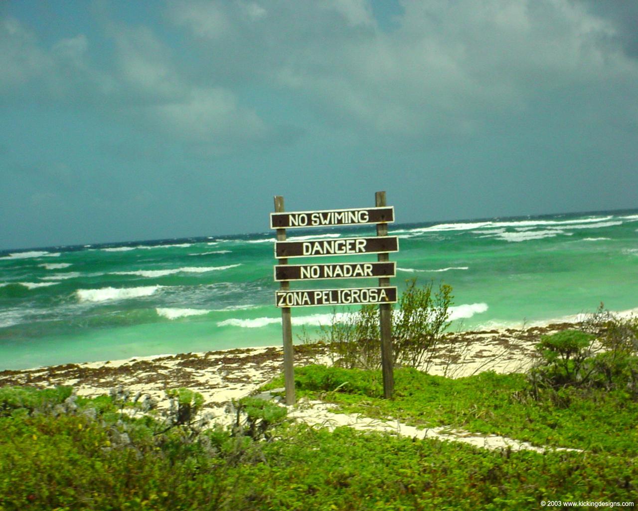 1280x1024 Cozumel Wallpaper. Cozumel Reefs