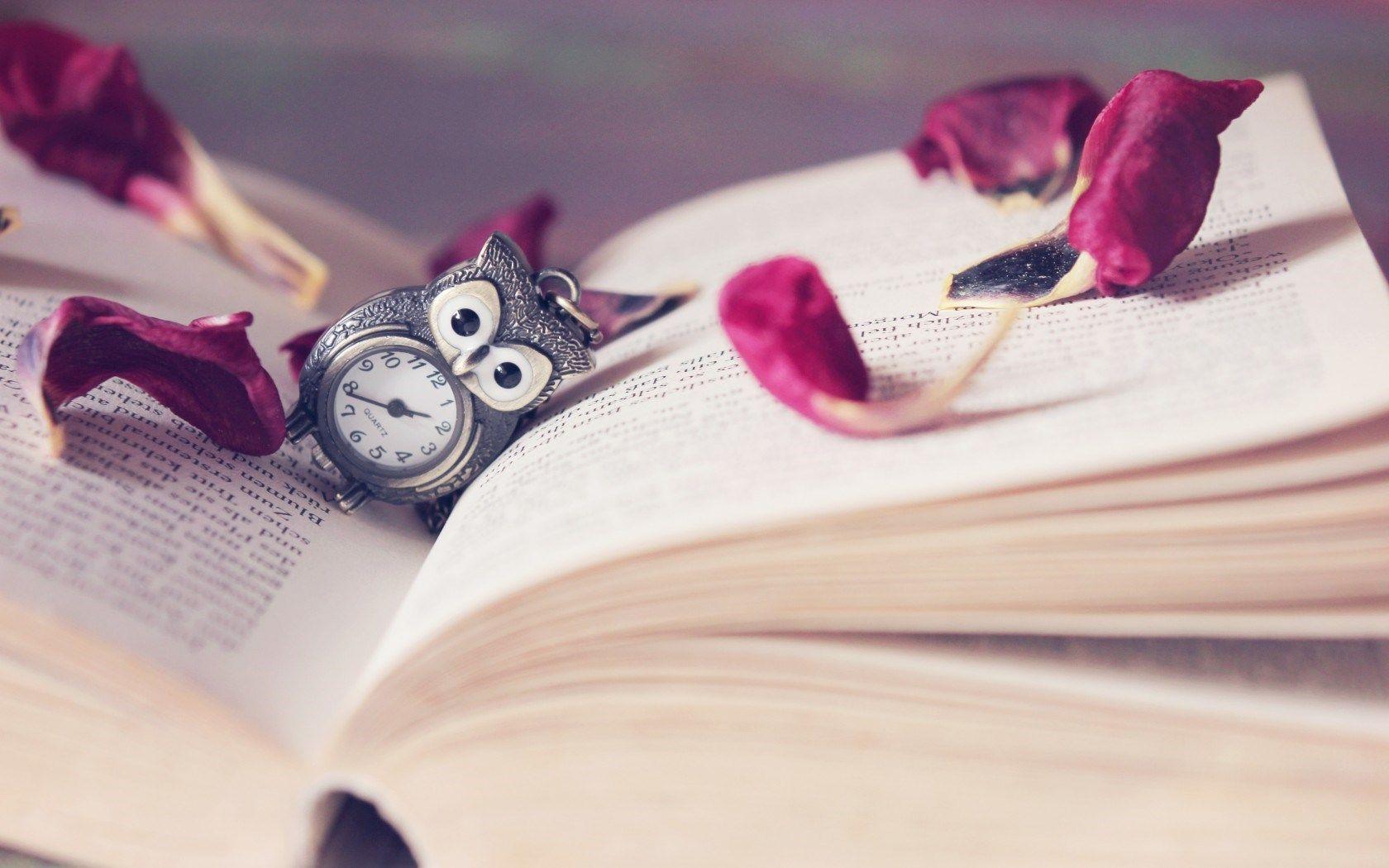 1680x1050 Owl Watch Book
