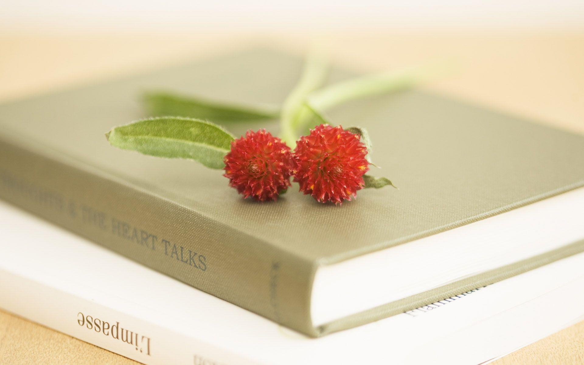 1920x1200 Little, books, flowers, wallpaper, decoration