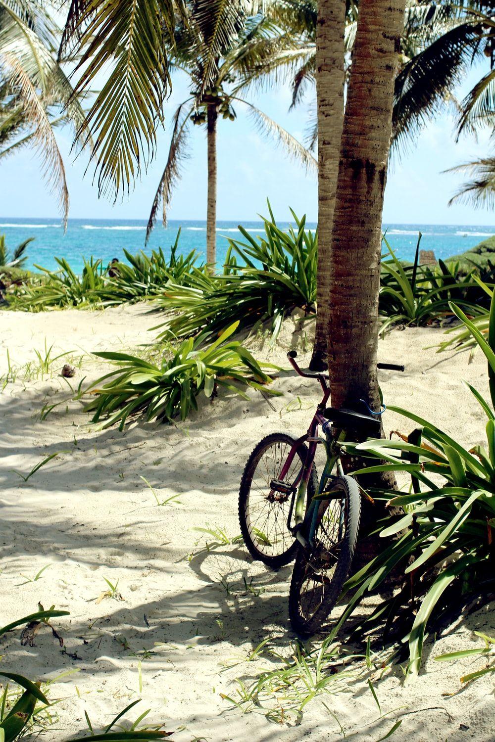 1000x1500 Free Cozumel Image