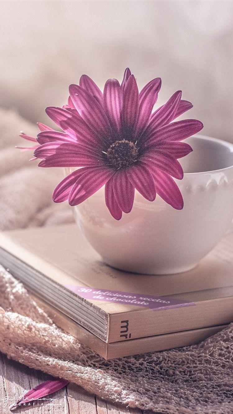 750x1334 Cup, Books, Purple Osteospermum Flower 750x1334 IPhone 8 7 6 6S
