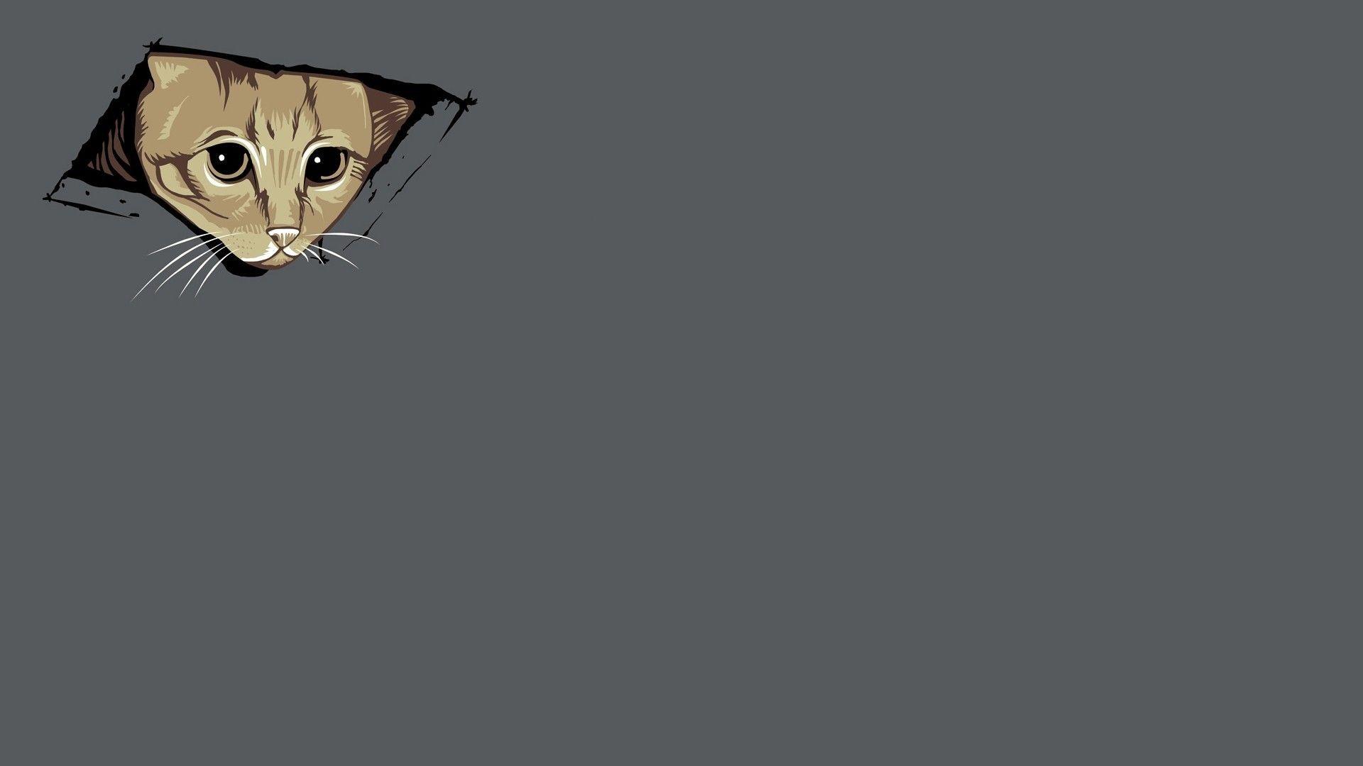 1920x1080 Abstract cats kittens simple simplistic wallpaper