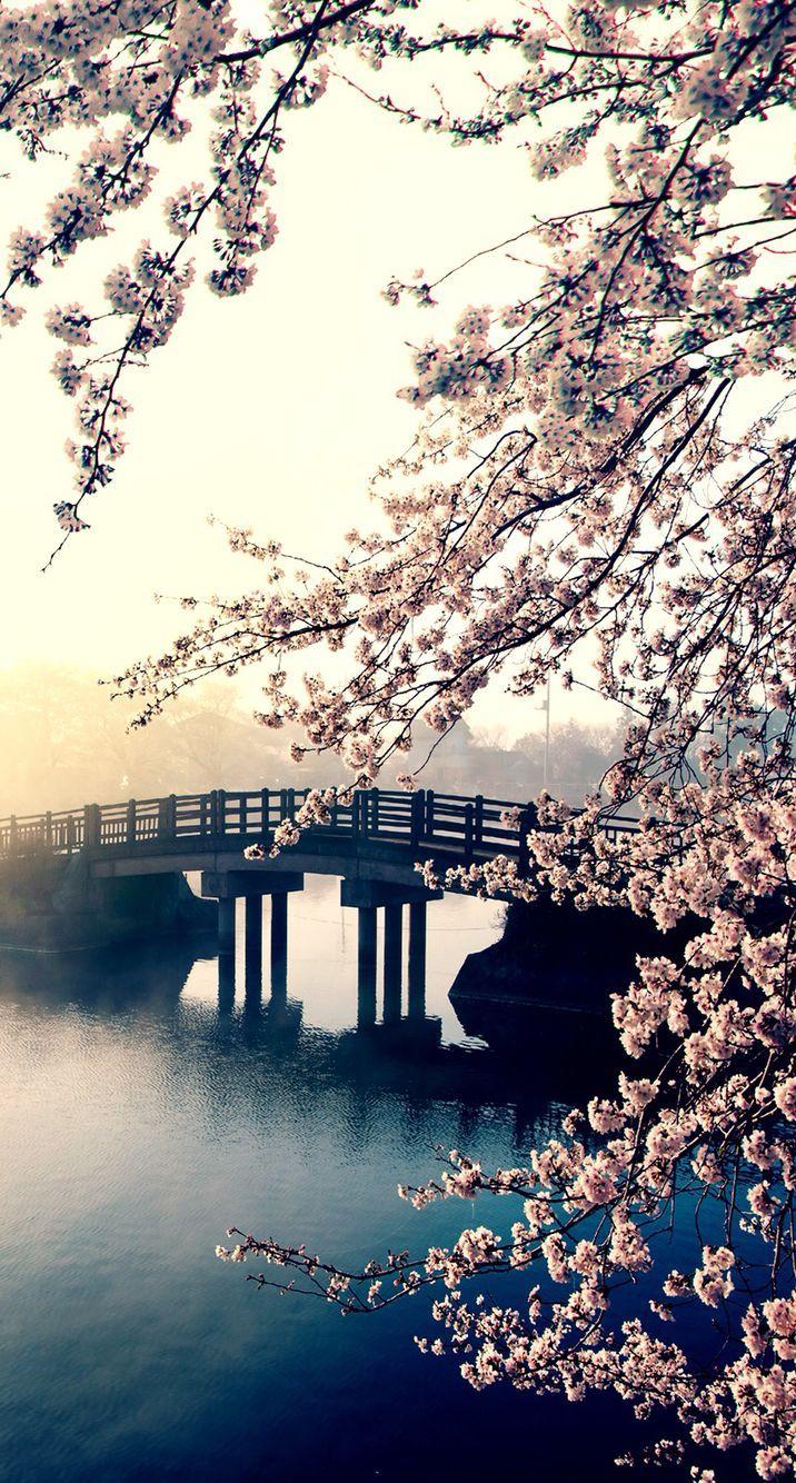 716x1334 Spring wallpaper. Wallpaper. Spring wallpaper