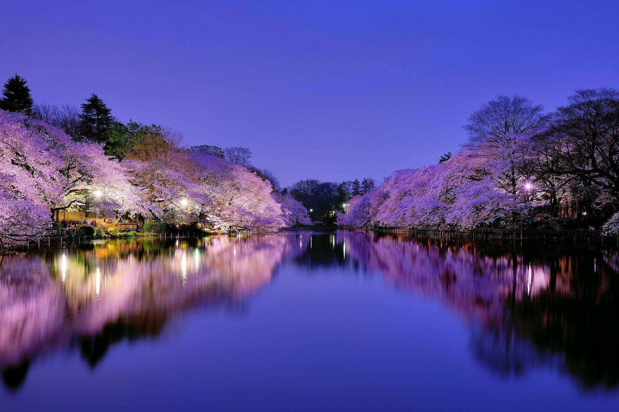 2048x1365 Japan Wallpaper, Picture, Image