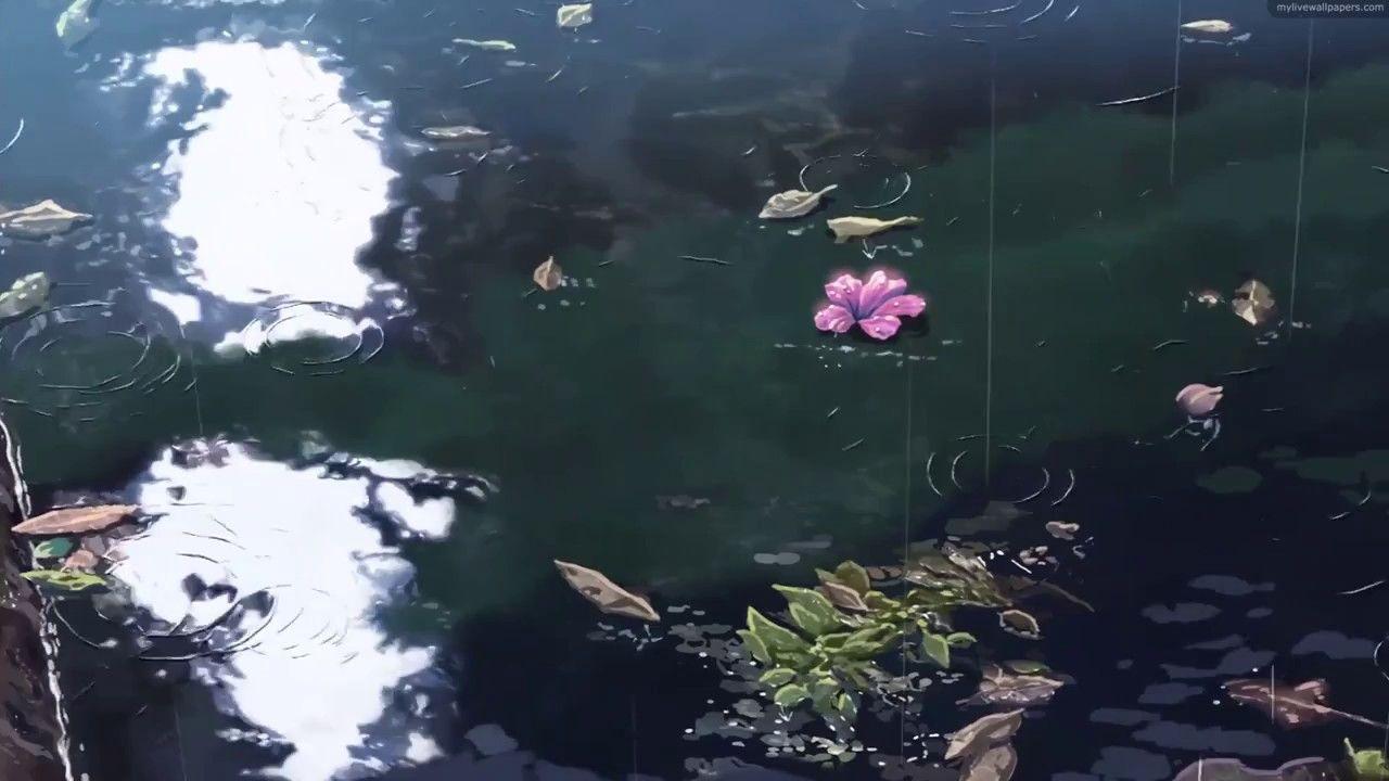1280x720 Wallpaper Engine Pond Animated Wallpaper