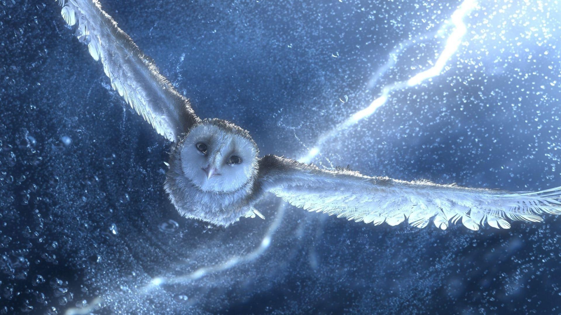 1920x1080 Download Wallpaper 1920x1080 owl, predator, sky, drawing Full HD