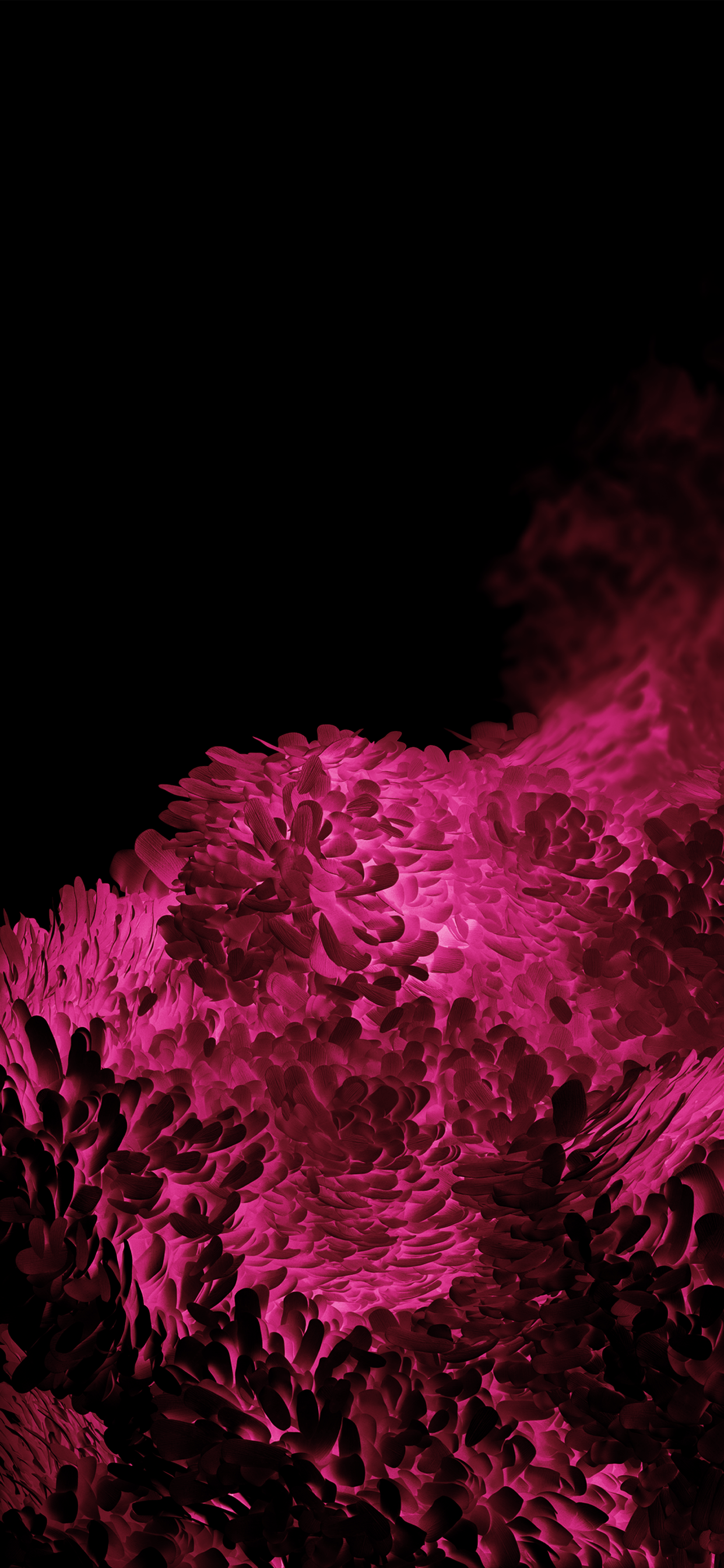 1242x2688 Download Samsung Galaxy S20 Stock Wallpaper (Official) 4K Res