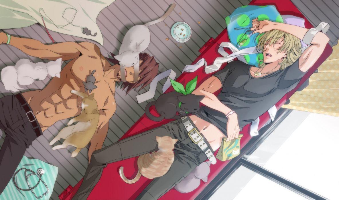 1184x700 Cats Yaoi Sleeping Anime Tiger And Bunny Two Boys Shounen Ai
