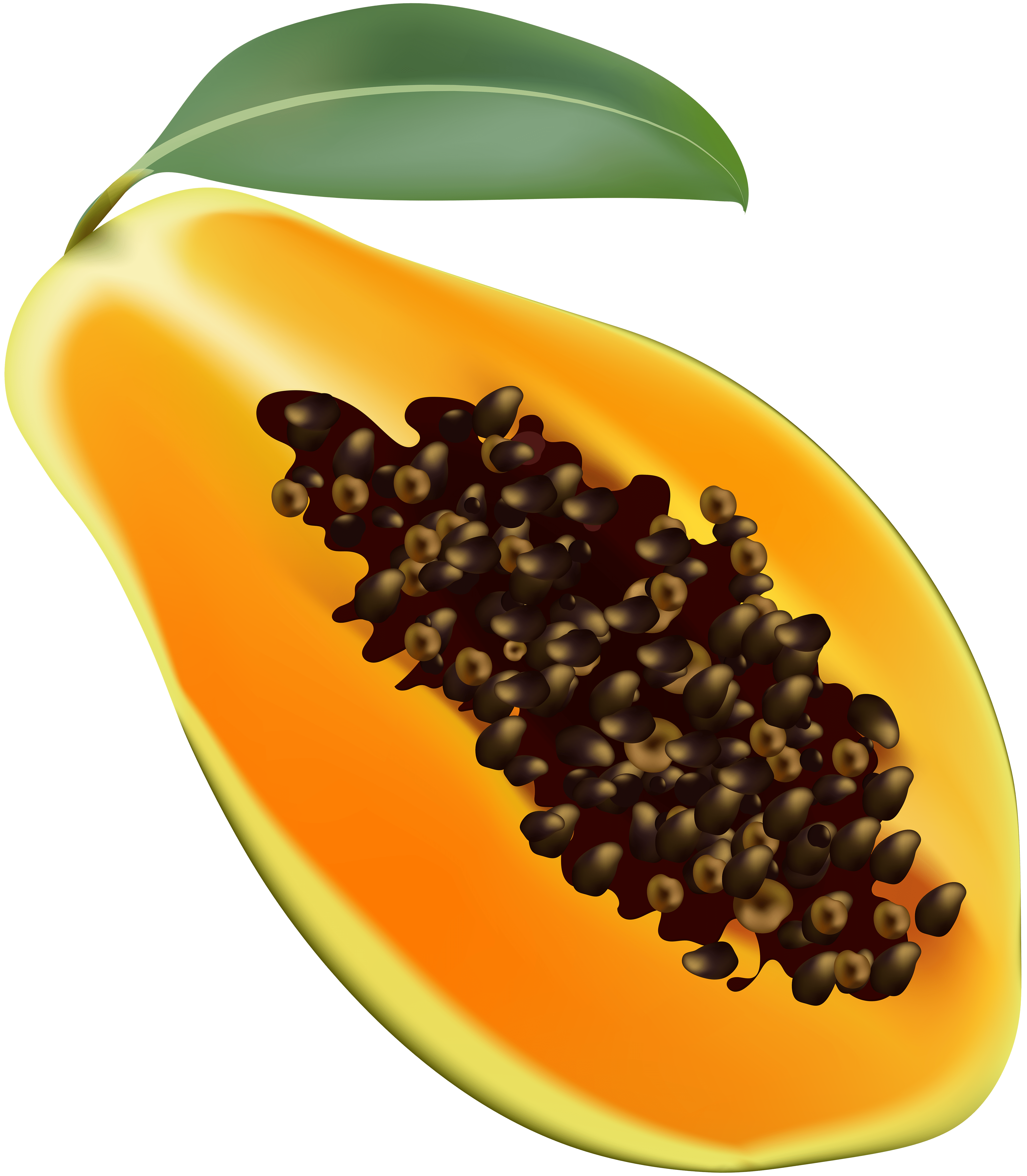 4366x5000 Papaya Transparent Clip Art Image Quality Image And Transparent PNG Free Clipart
