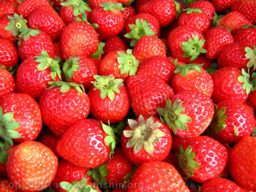 1024x768 Groceries Wallpaper. Groceries Wallpaper