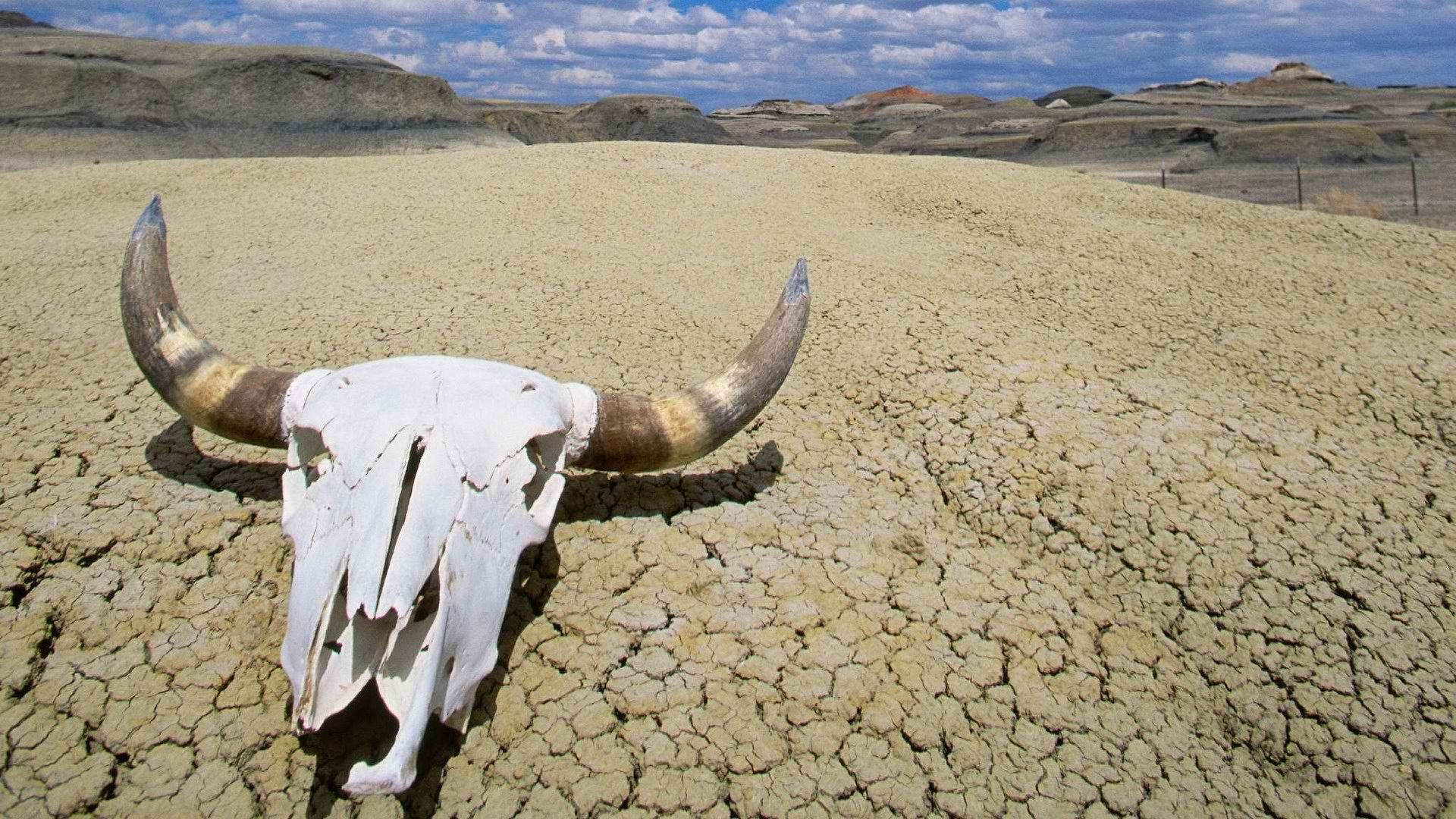 1920x1080 Death Valley Wallpaper