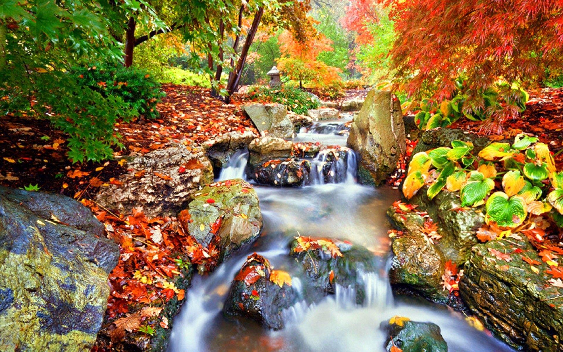 1920x1200 Waterfall: Fall Season Japanese Garden Places Parks Photography Love