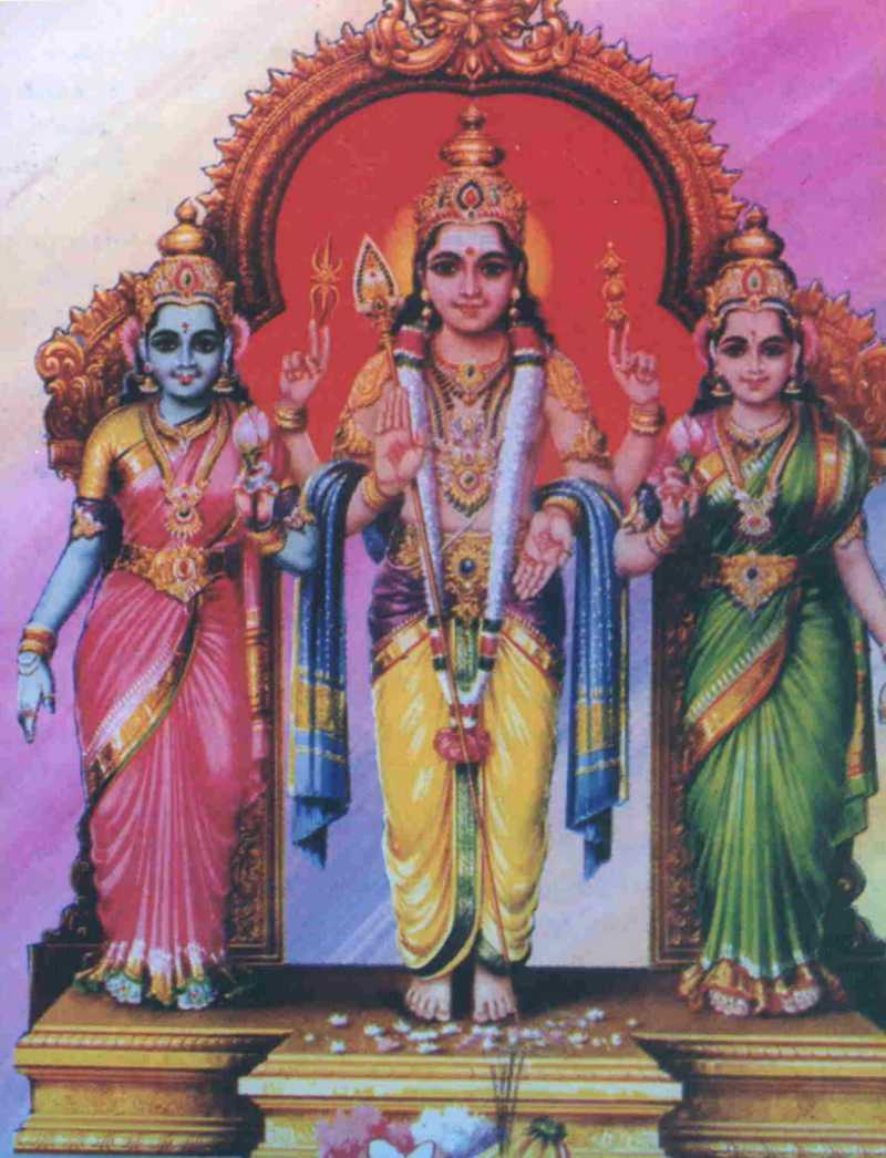800x1046 High Definition Photo And Wallpaper: murugan photo, murugan photo gallery, lord murugan wallpaper, murugan god image palani murugan image, murugan desktop wallpaper, image of lord murugan, murugan with valli theivanai, valli theivanai murugan