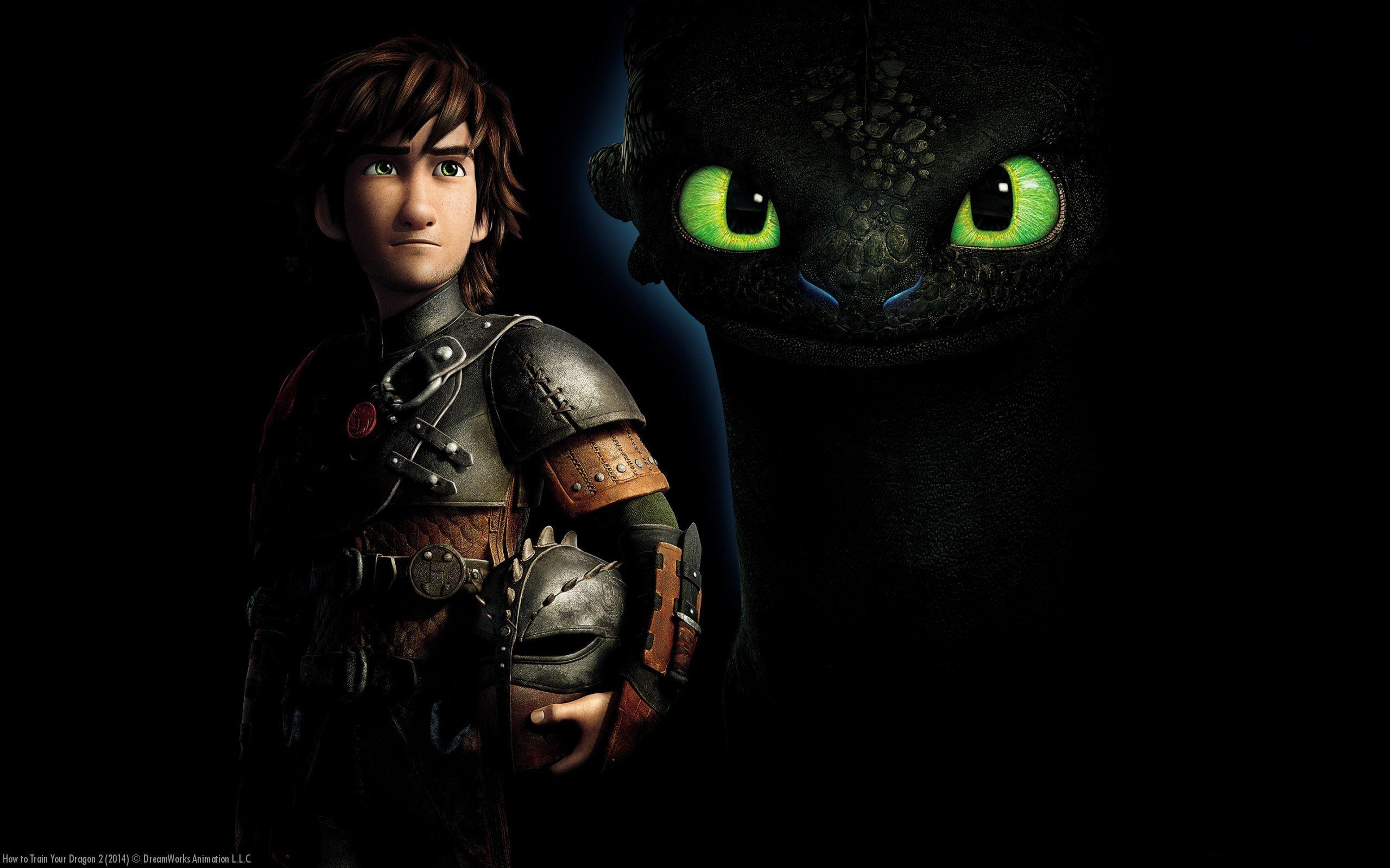 2560x1600 Free Toothless Wallpaper