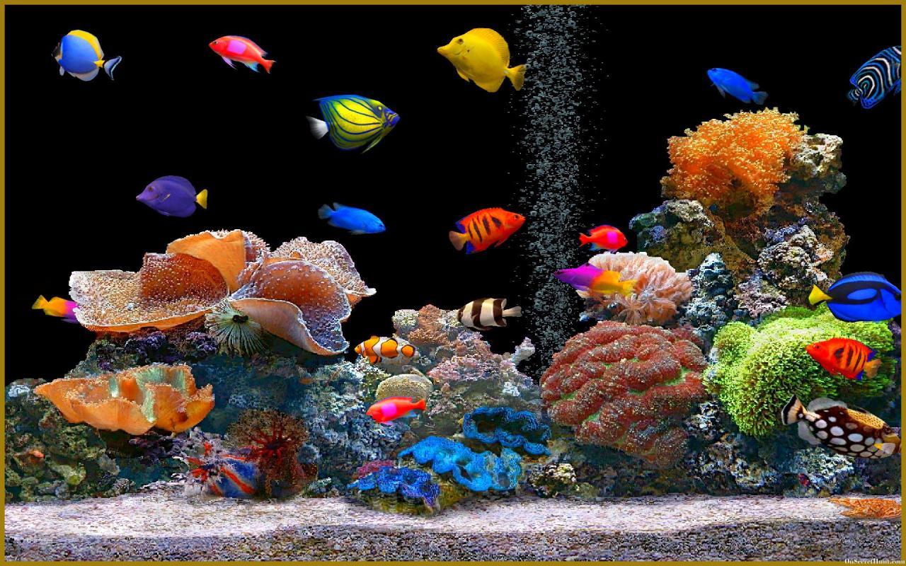 best aquarium screensaver windows 10
