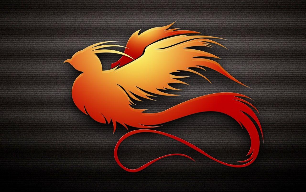 1280x804 Orange Bird wallpaper. Orange Bird