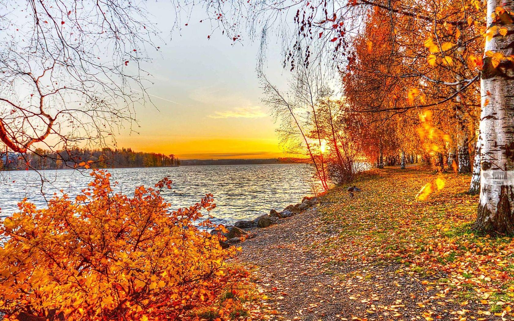 1680x1050 Free download HD Fall Wallpaper make your screen shine brighter