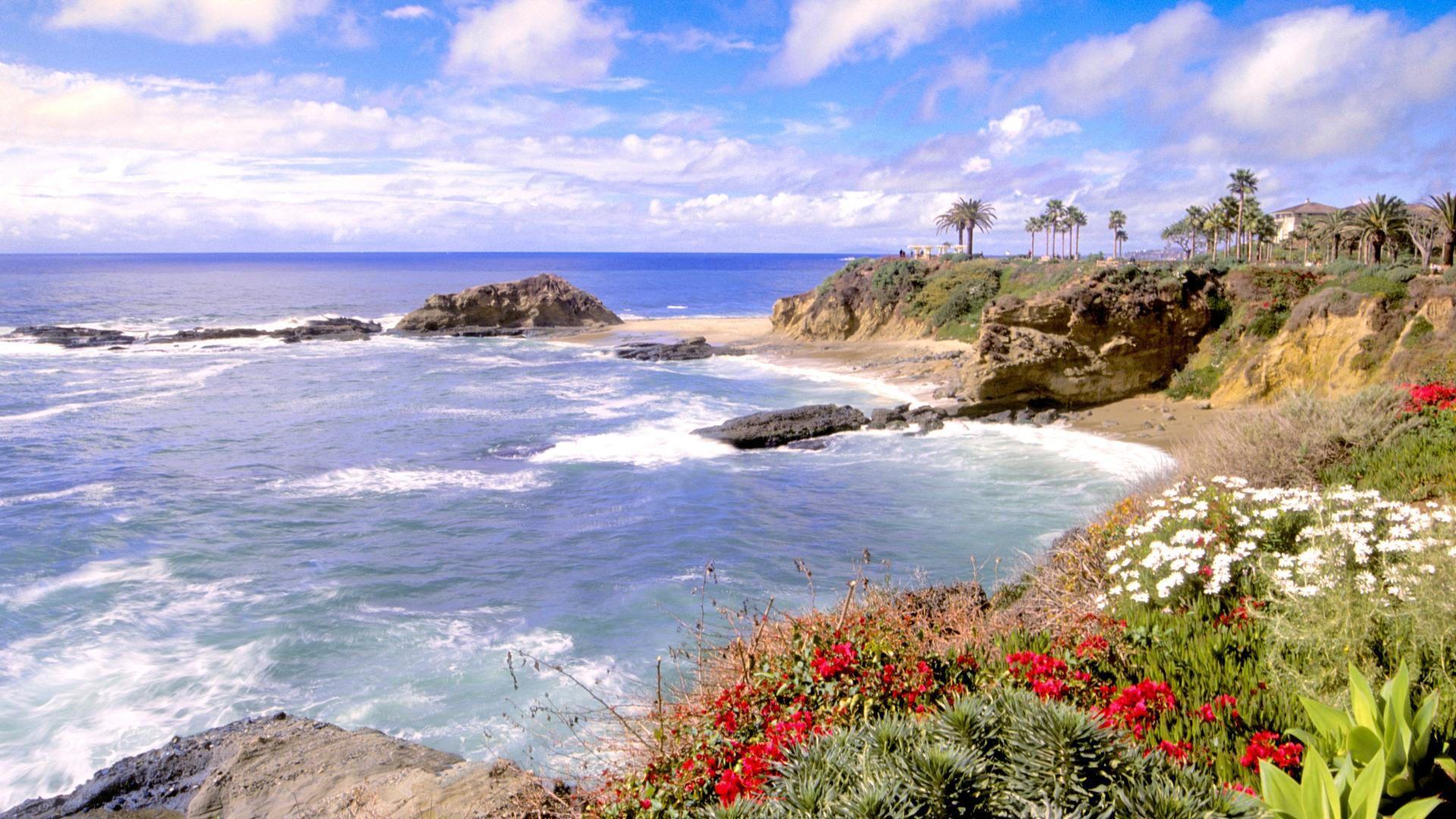 1920x1080 Free download laguna wallpaper beach california flowers 1920x1080