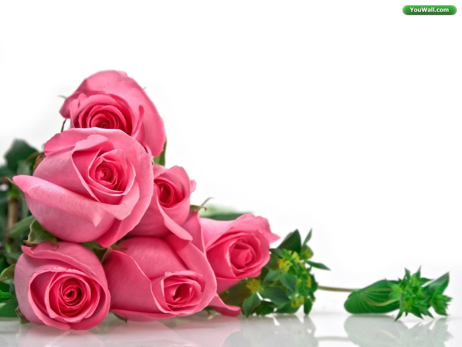 1600x1200 Wedding Flowers: Red Rose & White Rose Wallpaper for Desktop