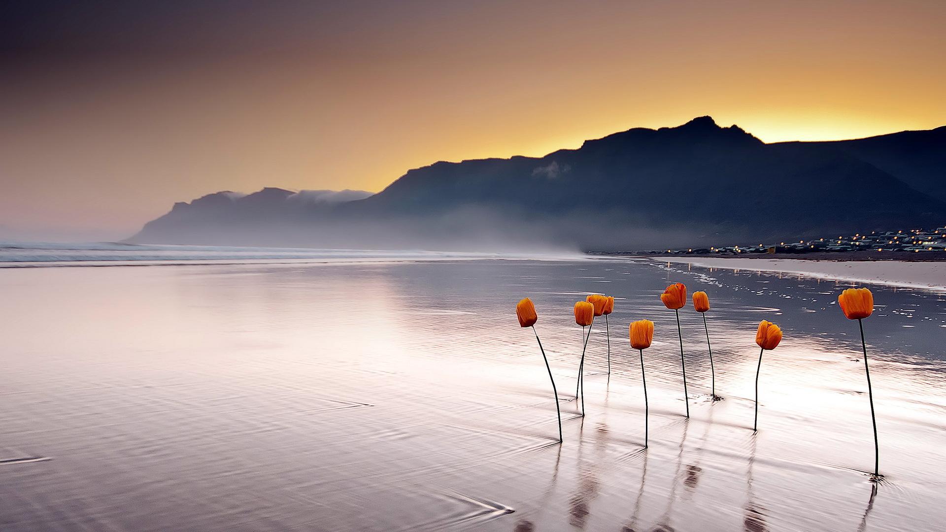 1920x1080 Beautiful Sea Beach Wallpaper For Desktop Evening Quotes
